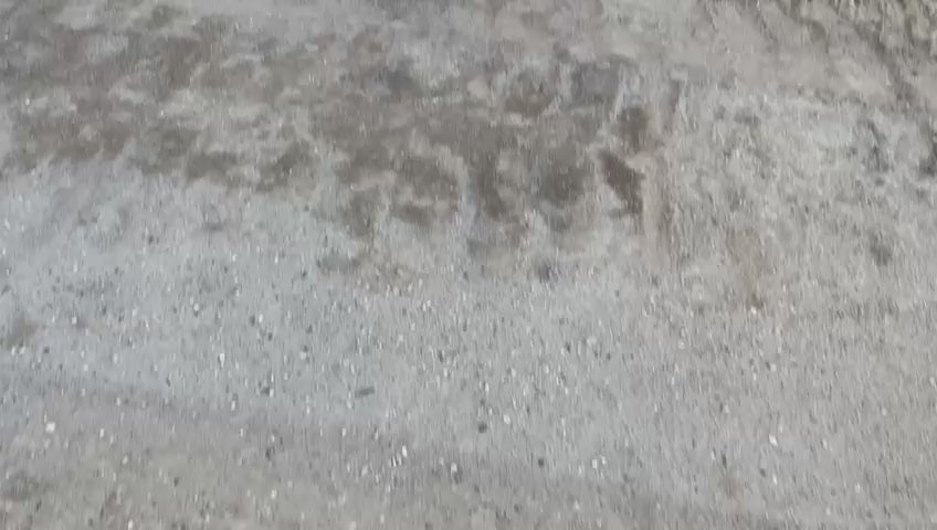 Excavadora XCMG XE55GA 2023